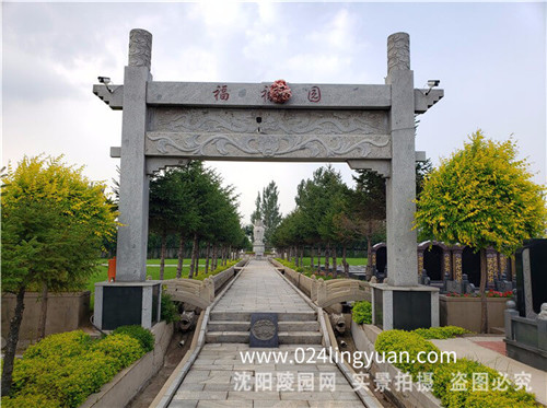 1586320269340959.jpg 封面图.jpg