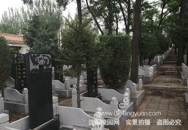 5d538ca8aab8d.jpg