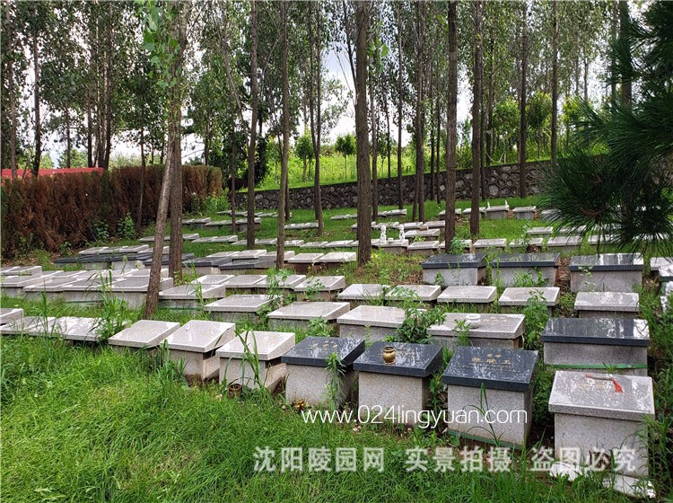 龙抚山公墓环境环境展示