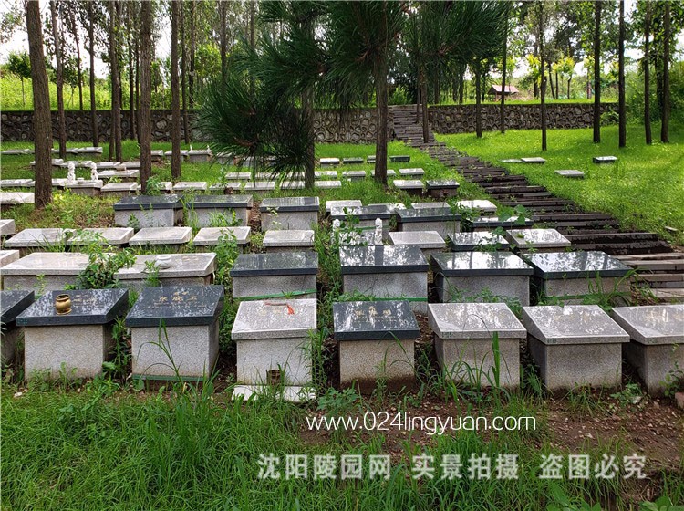 龙抚山公墓环境环境展示