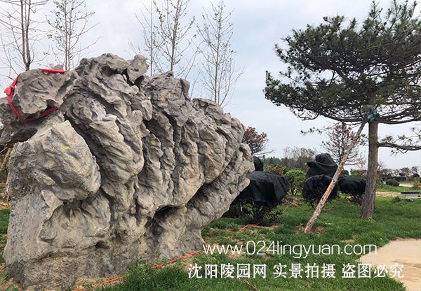 隆宝山墓园环境环境展示