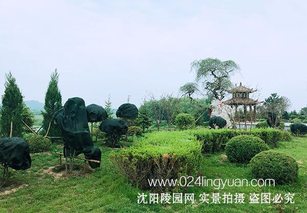 隆宝山墓园环境环境展示