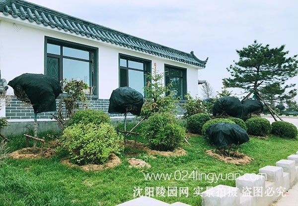 隆宝山墓园环境环境展示