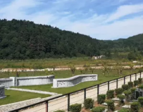 大伙房墓园环境环境展示