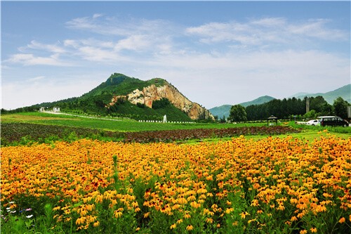 龙福山墓园风景环境展示