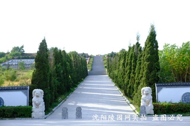 金楼祥苑墓园环境环境展示
