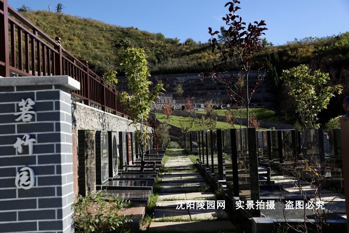 环境展示