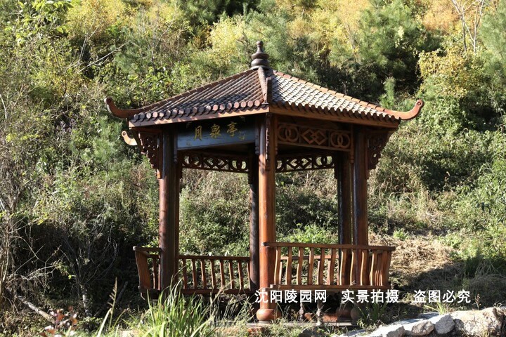 环境展示