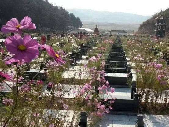 墓碑不同类型与价格