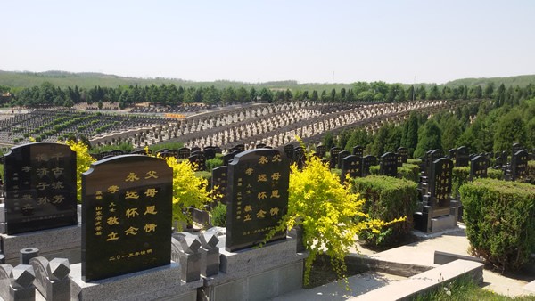 环境展示