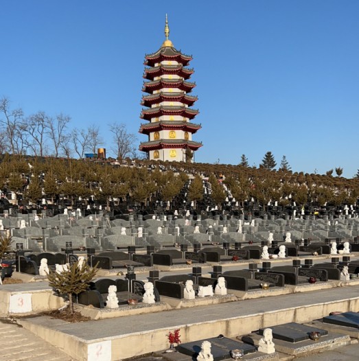 环境展示