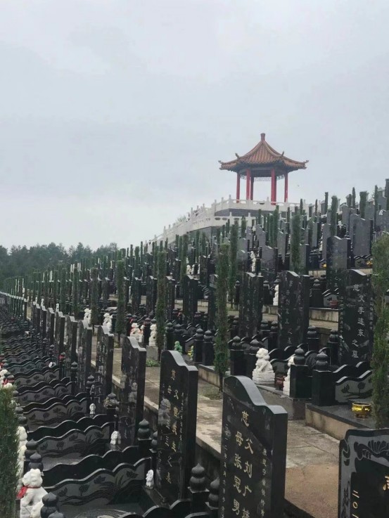 环境展示
