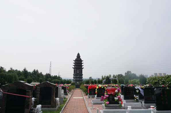 抚顺龙山息园环境展示