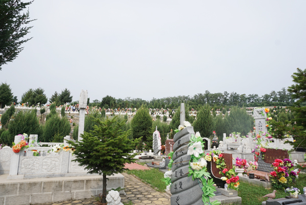 抚顺龙山息园环境展示