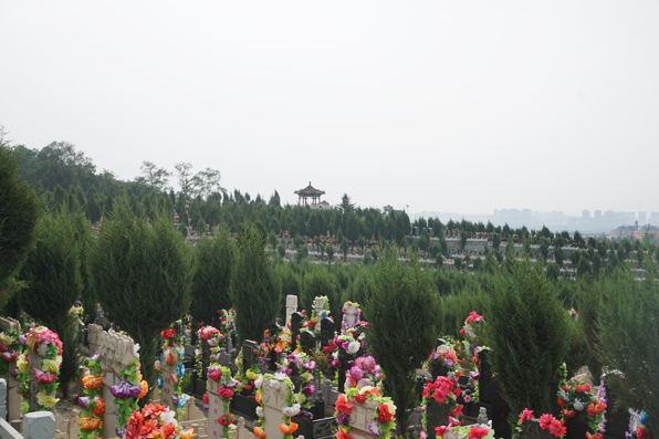 抚顺龙山息园环境展示