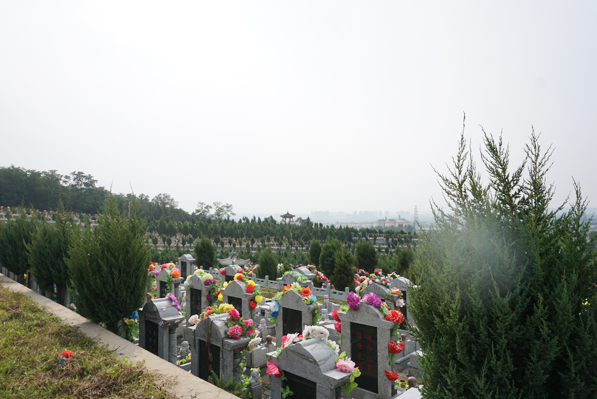 抚顺龙山息园环境展示