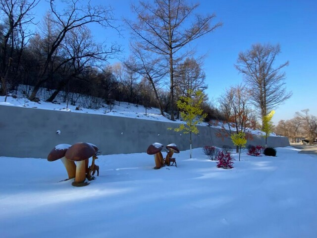 沈阳盘龙福地墓园环境展示