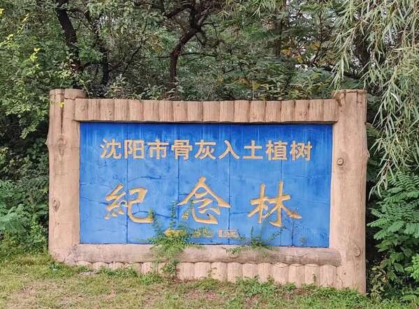 沈阳市纪念林墓园环境展示