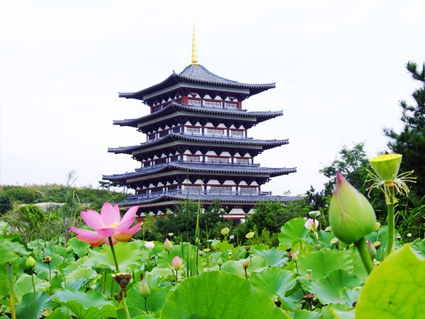 中华寺墓园环境环境展示