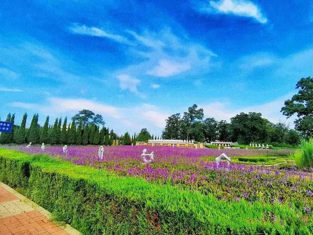 沈阳西郊卧龙墓园环境展示