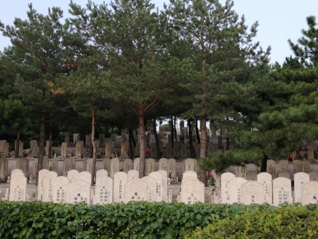沈阳东山墓园环境展示