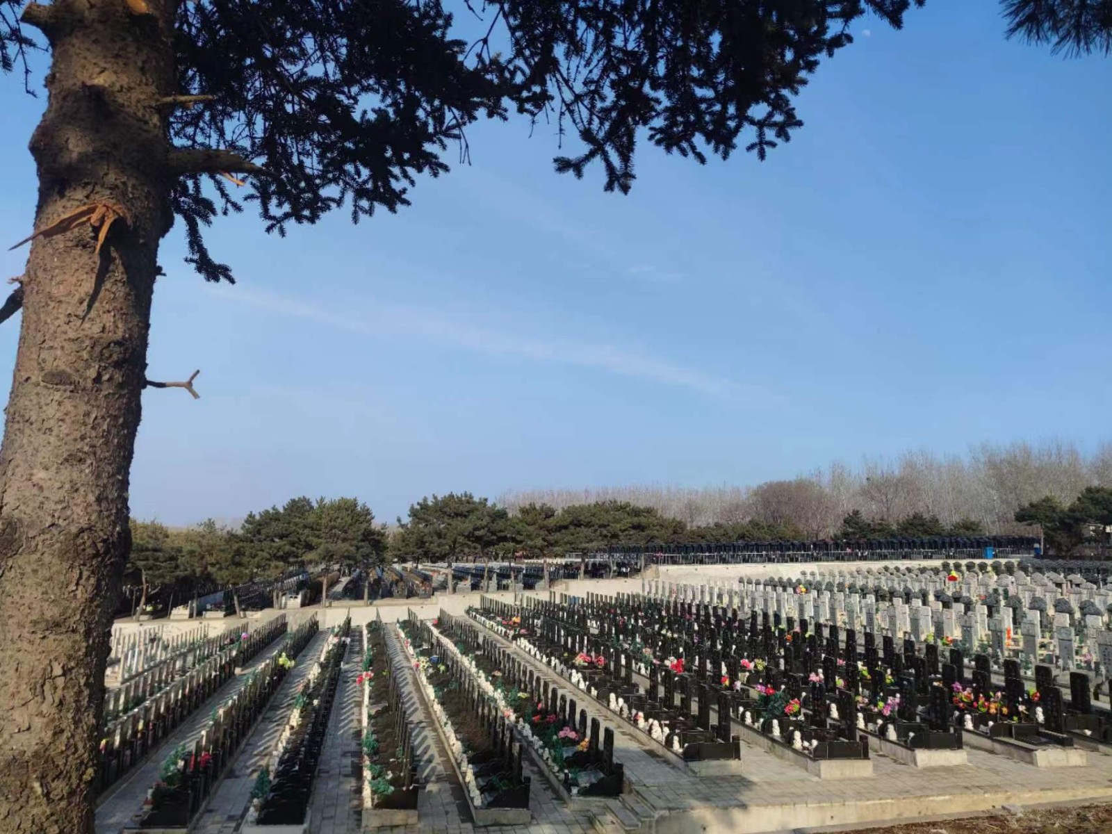 沈阳东山墓园环境展示