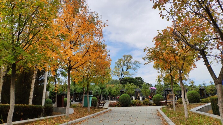 沈阳龙泉古园墓园环境展示