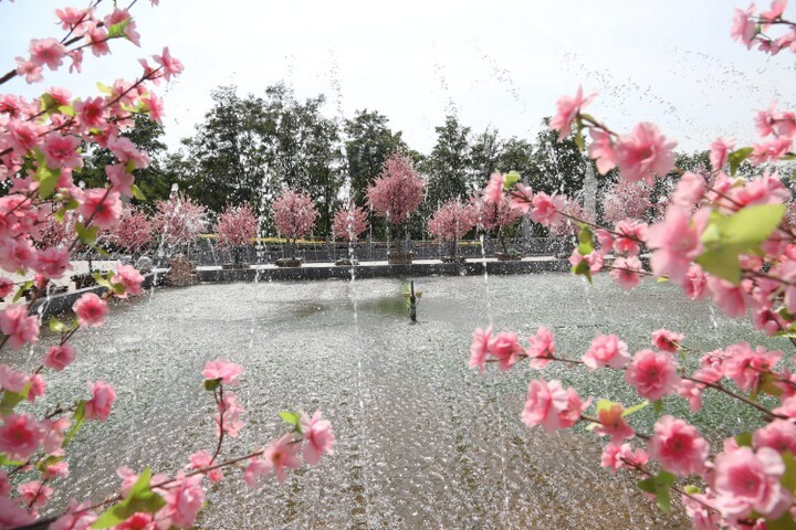 沈阳龙泉古园墓园环境展示