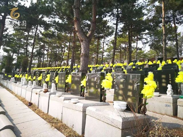 沈阳龙泉古园墓园环境展示