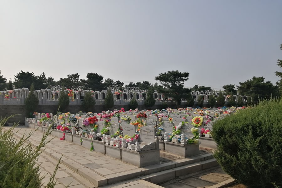 环境展示