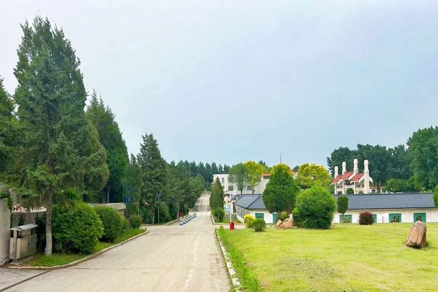 沈阳回龙岗公墓环境展示