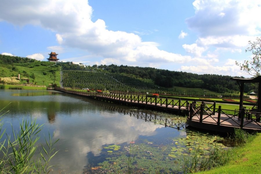 沈阳观陵山墓园环境环境展示