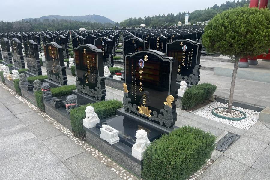 环境展示