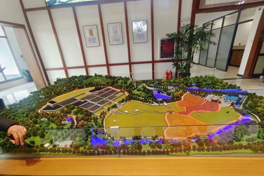 沈阳永乐青山墓园环境展示