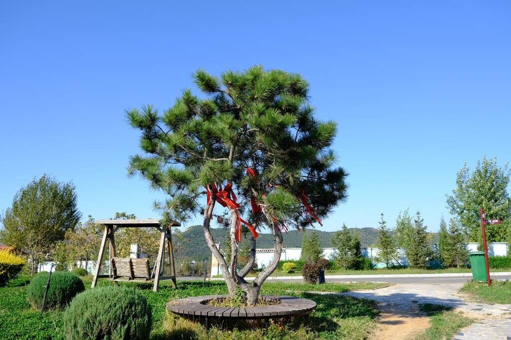 沈阳永乐青山墓园环境展示