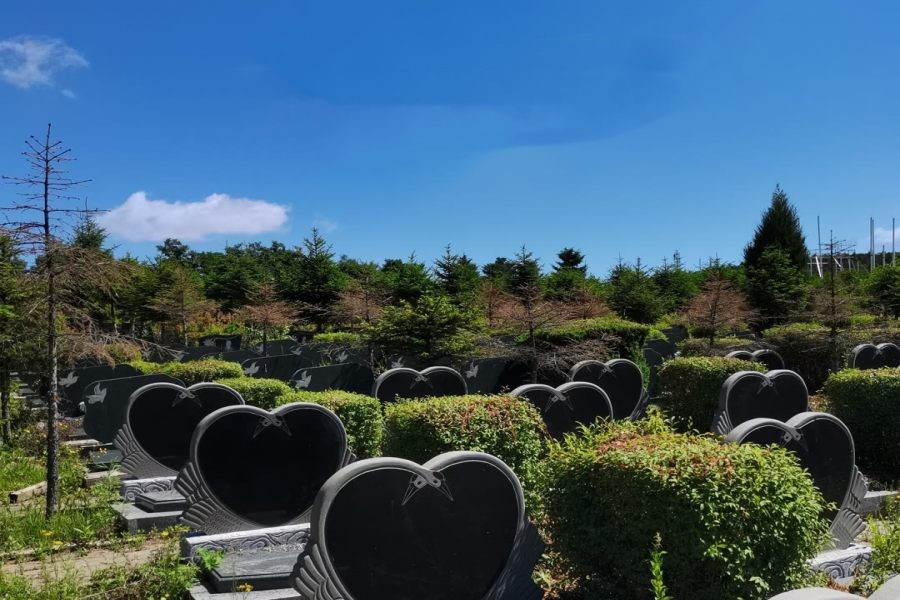 沈阳纪念林墓园环境展示