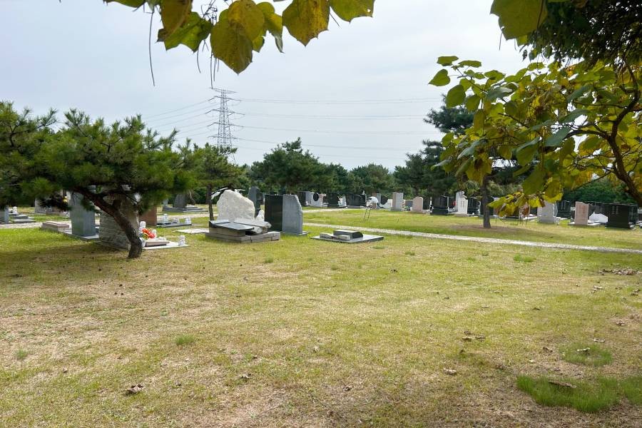 沈阳盛京寝园环境展示