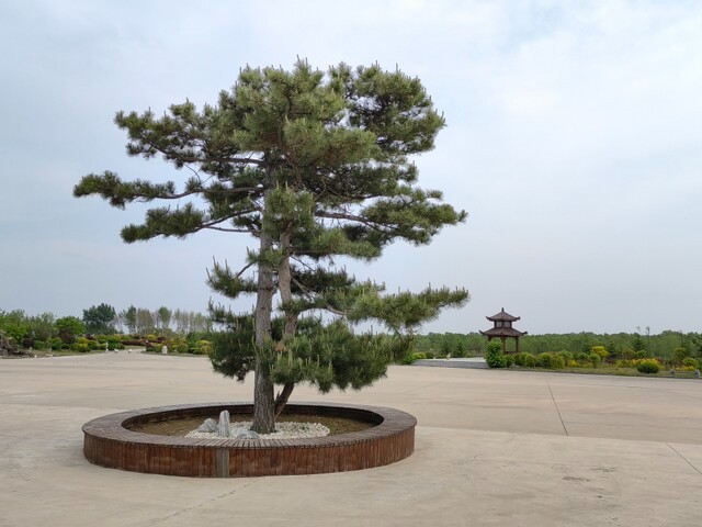 沈阳隆宝山墓园环境展示