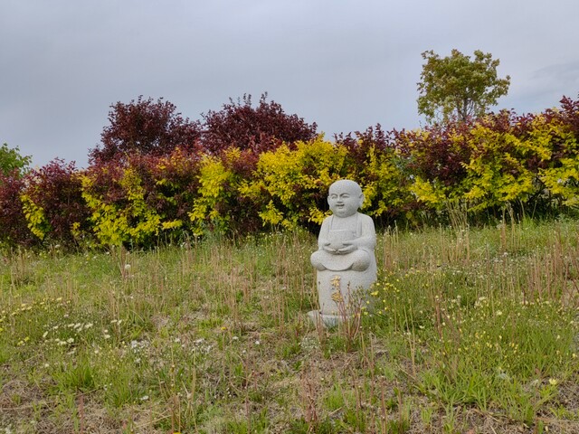 沈阳隆宝山墓园环境展示