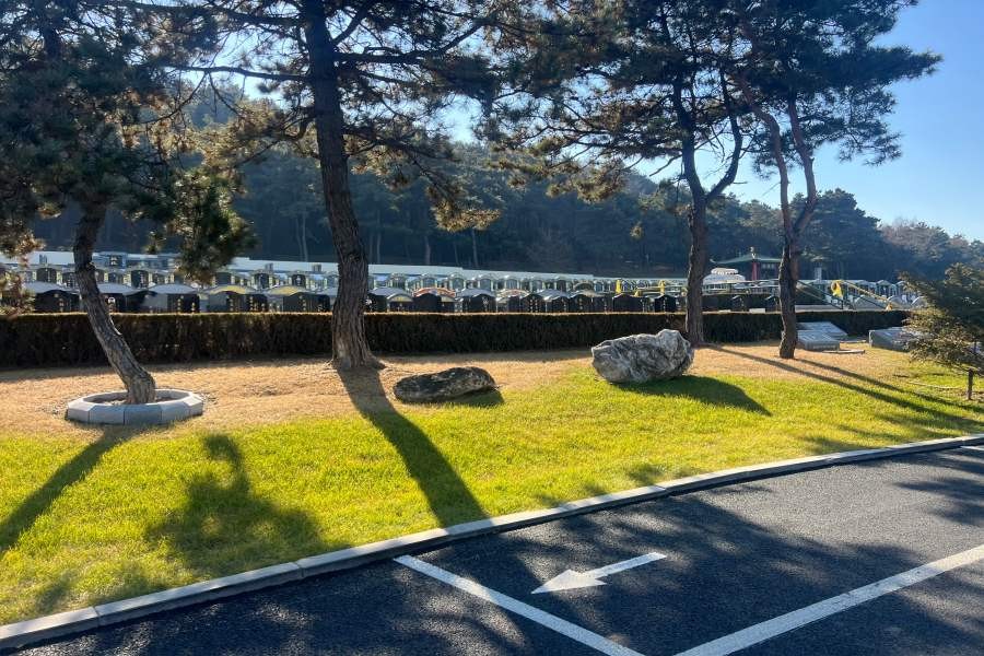 沈阳百贯山松陵公墓环境展示