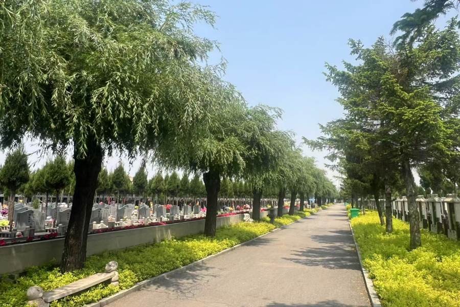 沈阳天台山墓园环境展示