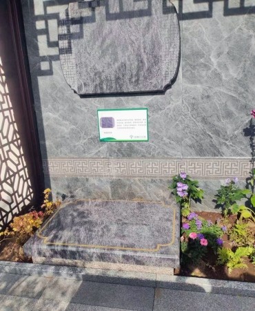 墓碑不同类型与价格