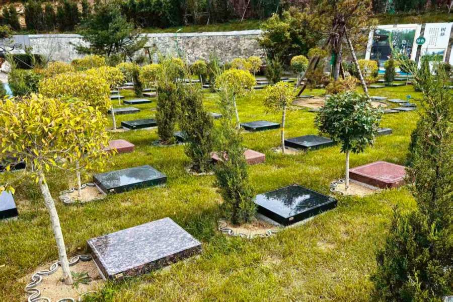 沈阳森林纪念园公墓环境展示