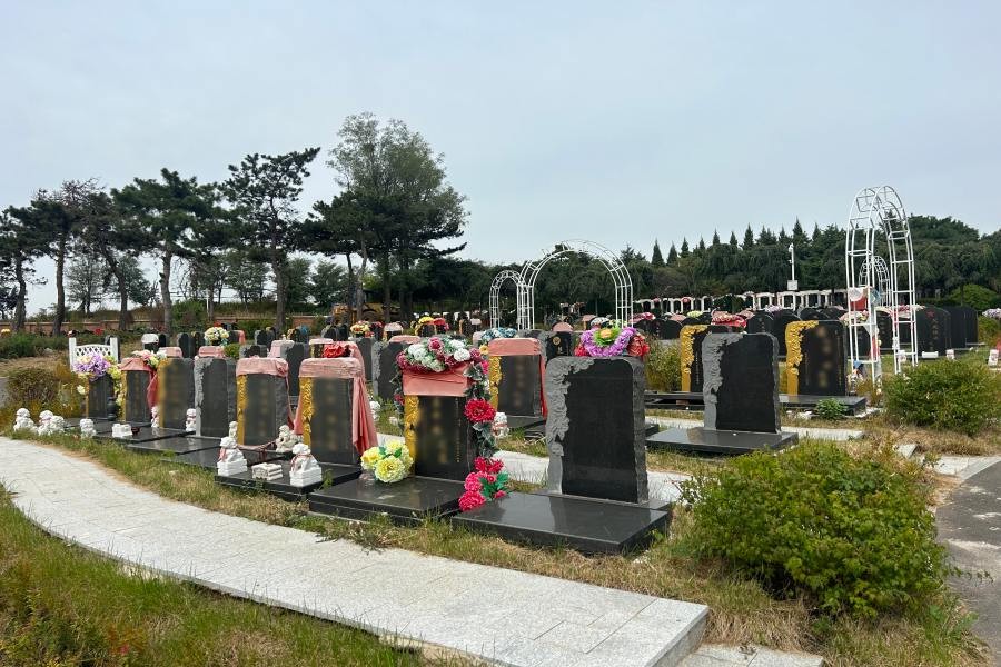 沈阳回龙岗公墓环境展示