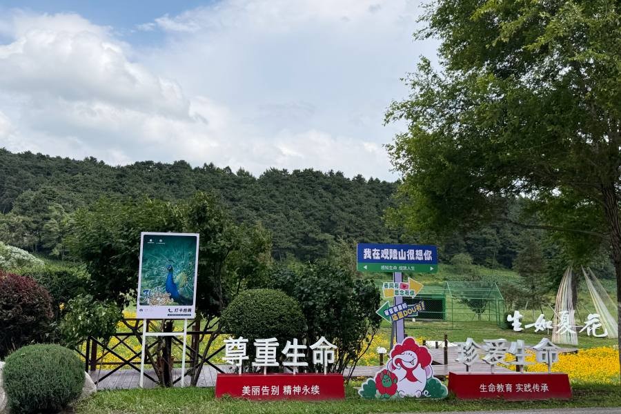环境展示
