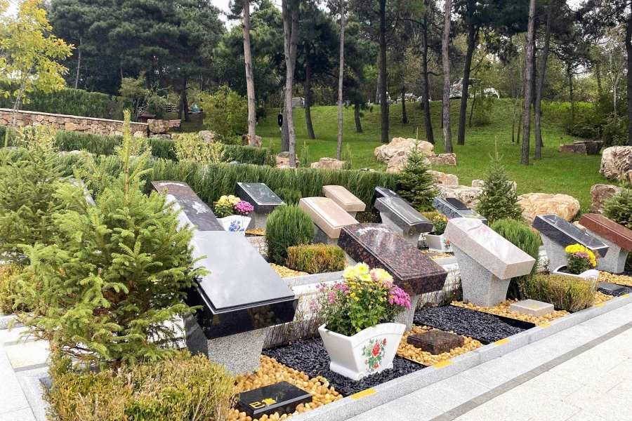 环境展示