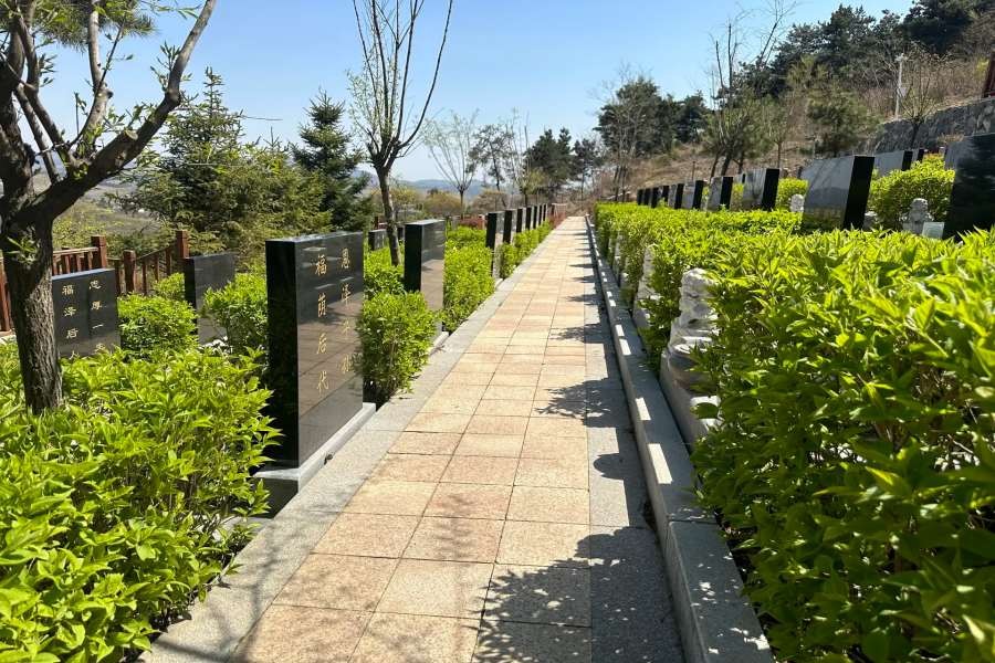 环境展示