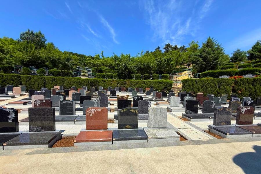 环境展示