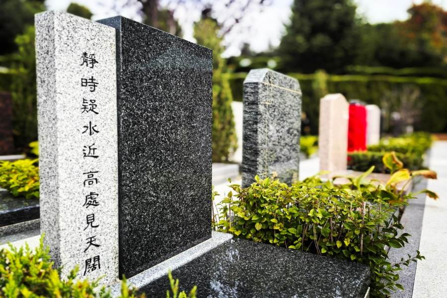 环境展示