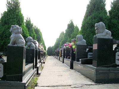 环境展示